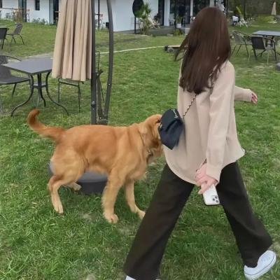 恶老板